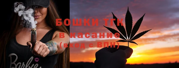 дурь Тавда