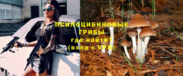 спайс Тихвин