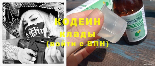 дурь Тавда