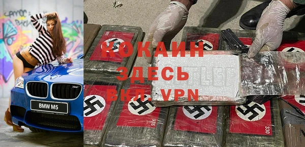 дурь Тавда