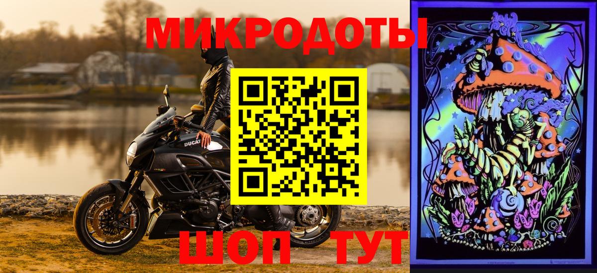 Псилоцибиновые грибы прущие грибы Белая Калитва