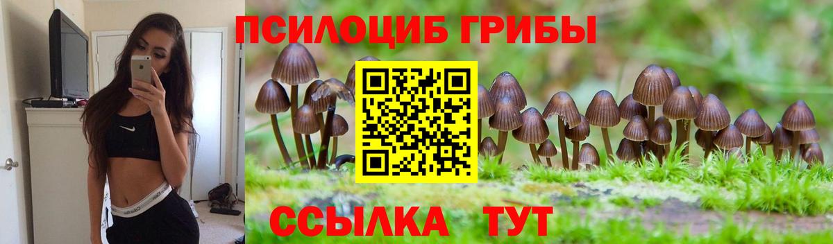Белая Калитва  Псилоцибиновые грибы ЛСД  Вход с VPN 
